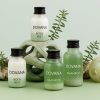 Luxury Hotel Amenities and Toiletries in Egypt