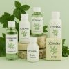 Luxury Hotel Amenities and Toiletries in Egypt